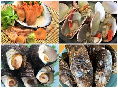 ★自宅de貝づくし★赤貝・ヒメ貝・べっぴんさざえ・瀬戸貝★周防大島の冬の貝４種詰め合わせ！【先行受付開始！2027年2月6日以降のお届け】