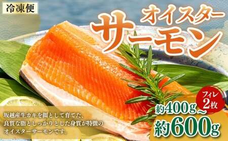 兵庫県産 オイスターサーモン（冷凍）（フィレ 2枚）約400g～600g サーモン 魚 魚介 海鮮