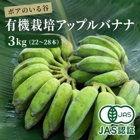 芳醇な甘さにモッチリ食感『有機アップルバナナプレミアム(3kg)』【1534083】