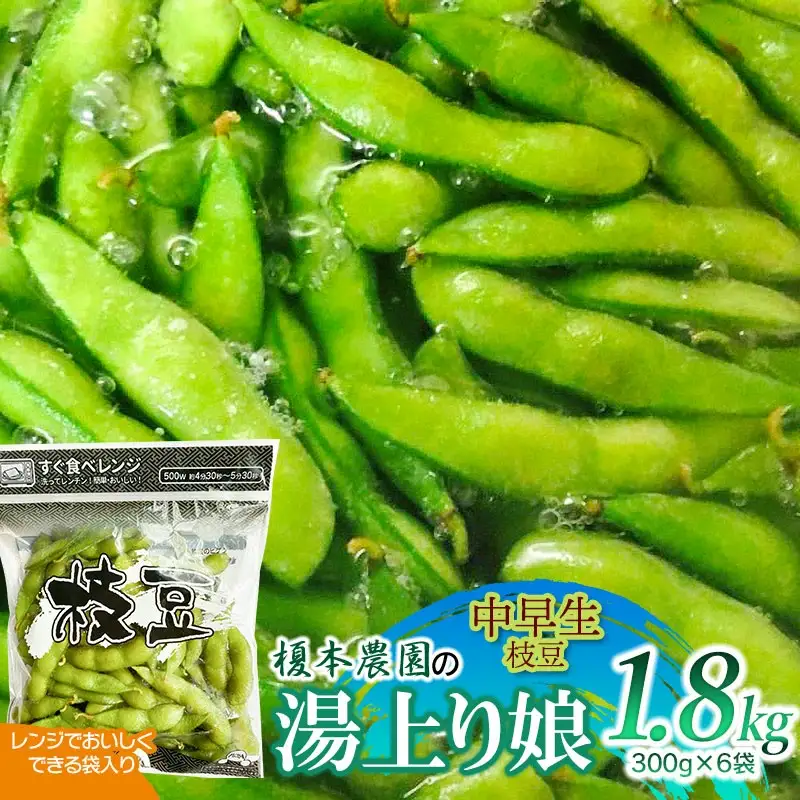 榎本農園の中早生枝豆「湯上り娘」1.8kg (電子レンジでおいしく出来る袋入り 300g×6袋） 令和9年産 K-934