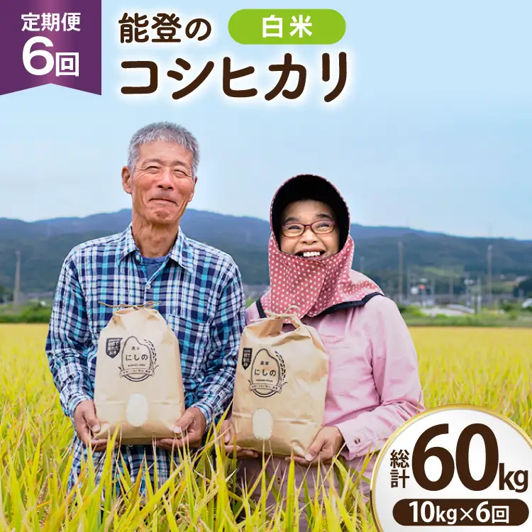 【期間限定発送】 米 定期便 コシヒカリ 白米 10kg 6回 総計 60kg