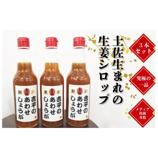 【 しょうが 】 しょうがシロップ3本