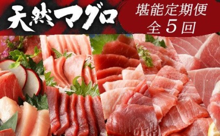 【定期便/計5回】天然マグロ（食べ比べ）【まぐろ】ge008