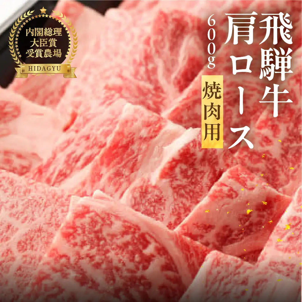 飛騨牛肩ロース  600g（焼肉用）【22-19【1】】