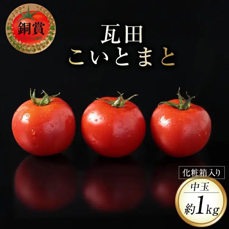 【期間限定発送】 野菜 瓦田こいとまと 中玉 約1kg×1箱