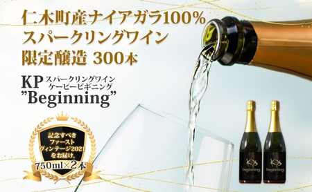 スパークリングワイン KPBeginning 北海道産スパークリングワイン【750ml×2本】