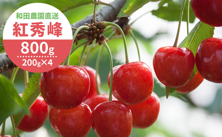 さくらんぼ 800g 紅秀峰 サクランボ