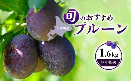 プルーン フルーツ 和田農園 北海道産 プルーン【1.6kg(400g×4)】