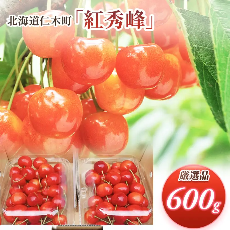 さくらんぼ 600g 紅秀峰 Lサイズ以上 サクランボ