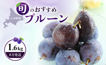 [2026年発送] 【8月発送】北海道 仁木町産 おすすめプルーン1.6kg（400g×4パック） 果物類 果物 くだものフルーツ 果物詰合せ プルーン [和田農園]