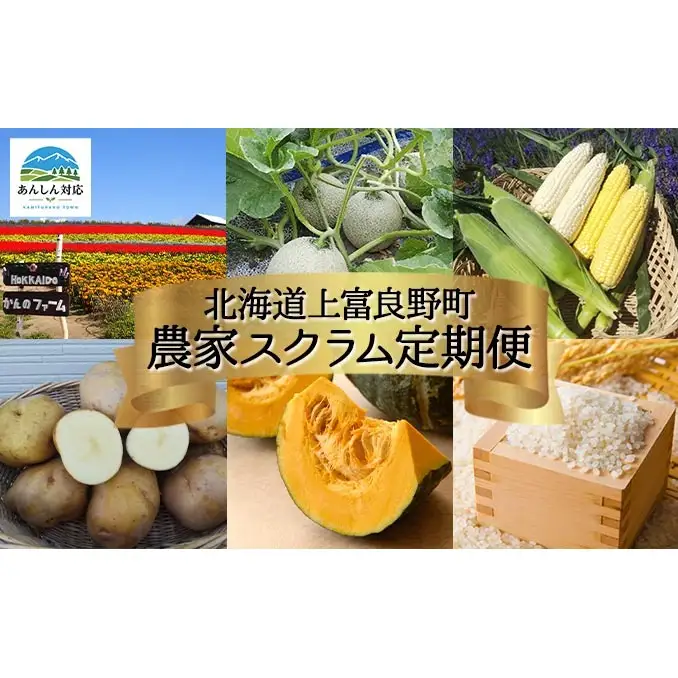 【令和8年産】先行予約 北海道 上富良野 農家スクラム スペシャル 定期便 4回発送 メロン とうもろこし トウモロコシ じゃがいも ジャガイモ かぼちゃ カボチャ お米 ゆめぴりか 果物 フルーツ 野菜 新米 
