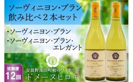 ※廃番※【12回 定期便 】白 ワイン ソーヴィニヨン・ブラン 2種 飲み比べ 750ml×2本 [ヴィニョブル安曇野 DOMAINE HIROKI 長野県 池田町 48110196]