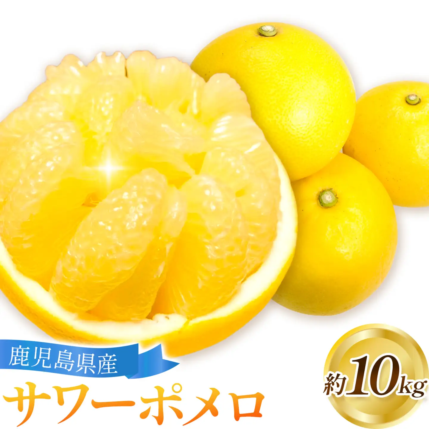 【先行予約】サワーポメロ 10kg 大橘（おおたちばな）よしたか農園 《2027年2月上旬-3月下旬頃出荷》