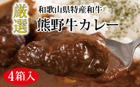 熊野牛カレー4食セット【mtf102】