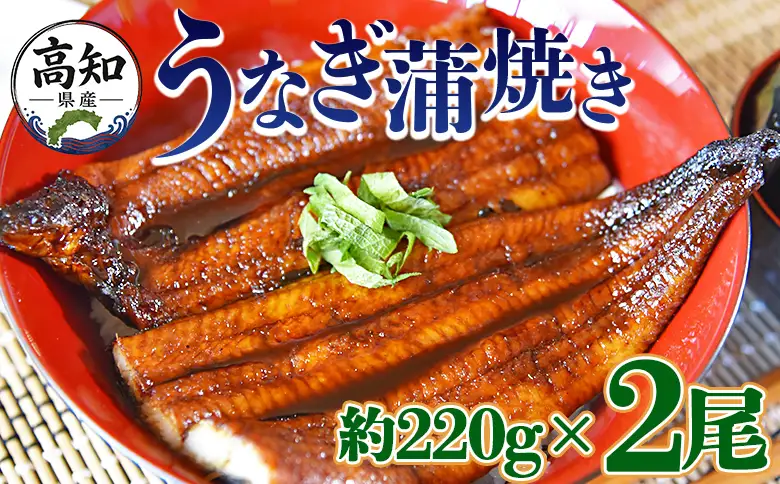 【うなぎ蒲焼き】うなぎの蒲焼き 220g 2尾 fb-0140
