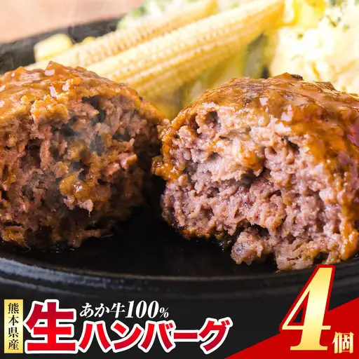 あか牛100%生ハンバーグ 4個  あか牛