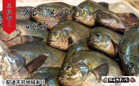 グレ 生 3枚卸し× 2匹分 煮付け ムニエル フライ グレ