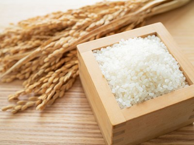 佐賀県産 ゆめしずく 白米4.5kg×３回定期便 999-B749