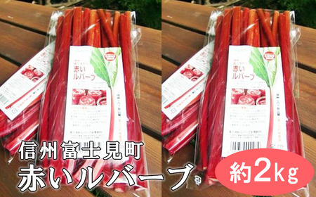 【2026年9月下旬より発送予定】 富士見町の赤いルバーブ約2kg（500g×4袋） 富士見町ルバーブ生産組合