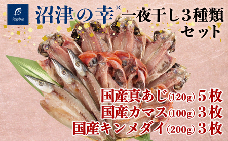 一夜干し 沼津の幸 3種類 セット 干物 一夜干し