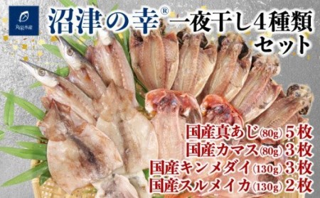 一夜干し 沼津の幸 真あじ 金目鯛 かます イカ 4種類 セット 干物 一夜干し