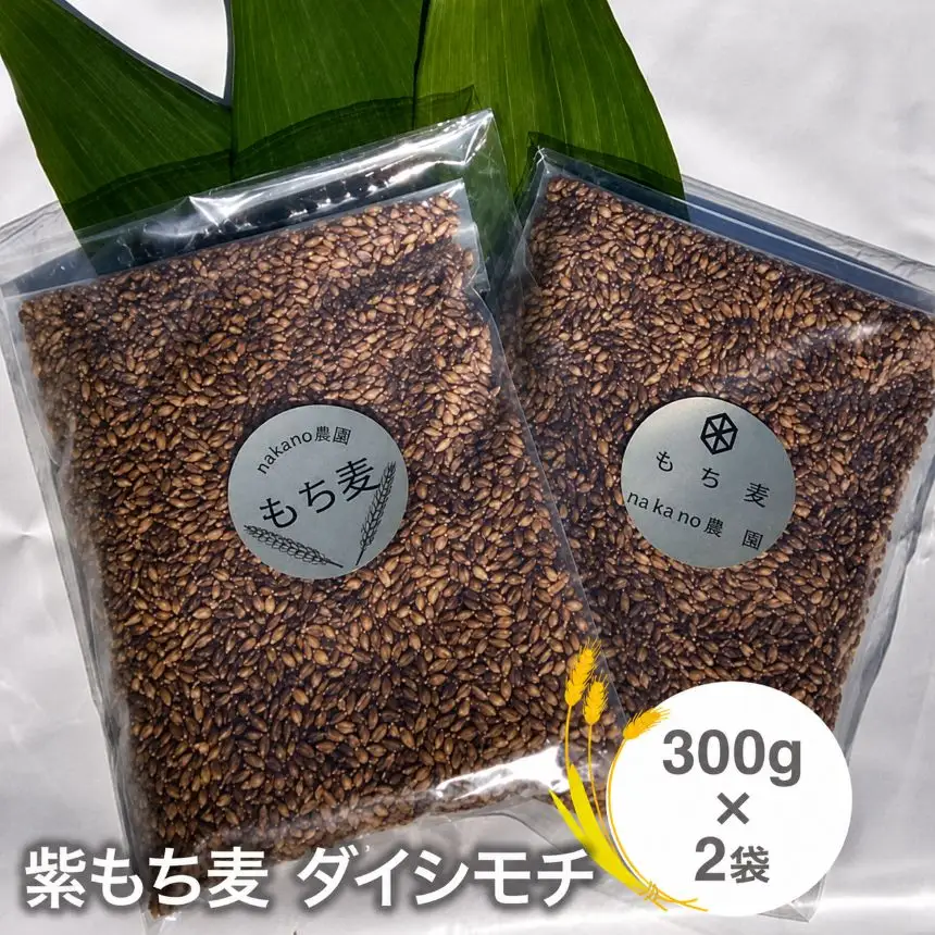 山々と源流の山国町「nakano麦園」の希少な『紫もち麦』ダイシモチ300g×2袋 | 600g 600グラム 紫もち麦 もち麦 麦 ダイシモチ 紫麦 雑穀 穀物 希少 国産 麦ご飯 大分県 中津市