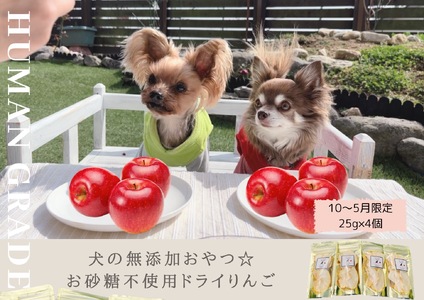 FB148_【10月～5月20日まで順次発送】犬の無添加おやつ☆お砂糖不使用ドライりんご４個