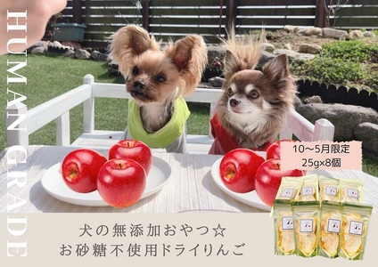 FB149_【10月～5月20日まで順次発送】犬の無添加おやつ☆お砂糖不使用ドライりんご８個