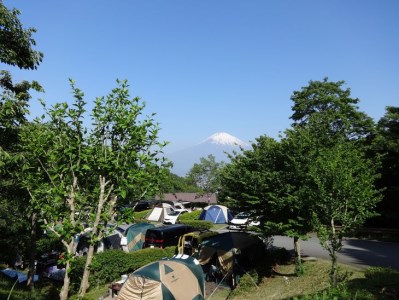 乙女森林公園第２キャンプ場宿泊券（テントサイト：5名） | 宿泊券 利用券 旅行券