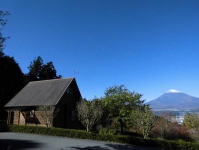 乙女森林公園第２キャンプ場宿泊券（コテージＢ：６名タイプ） | 宿泊券 利用券 旅行券