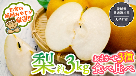 梨 食べ比べ 3～4種類【2026年8月より発送開始】（茨城県共通返礼品 [梨]：大子町産）