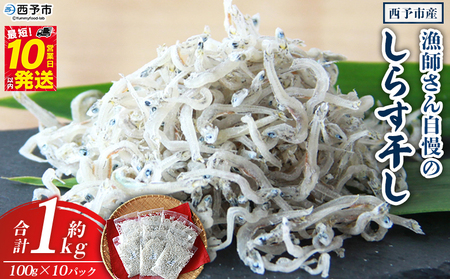 ＜漁師さん自慢のしらす干し 1kg(100g×10パック)＞ シラス 魚介類 さかな 海産物 海鮮 海の幸 小分け 国産 ご飯のお供 丼 おつまみ 晩酌 おかず おやつ 特産品 産地直送 濱田水産 愛媛県 西予市 【冷凍】『最短10営業日以内に順次発送予定』AHS0001