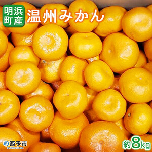 【先行予約】＜産地直送！愛媛県明浜町産 温州みかん 約8kg＞ ※2026年11月中旬～2027年1月中旬頃迄に順次出荷予定ミカン 蜜柑 柑橘類 フルーツ 果物 甘い おいしい おすそ分け ギフト 贈答 特産品 季節限定 期間限定 旬 宇都宮農園 愛媛県 西予市【常温】 AUN0001
