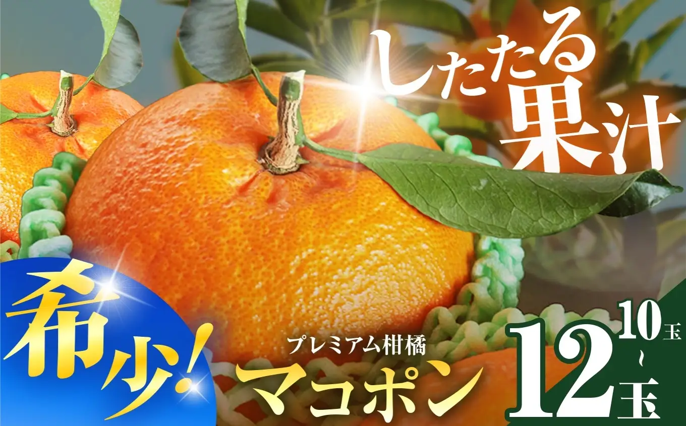 【先行予約】【数量限定】 紅モンスター マコポン 10～12玉 | フルーツ 果物 くだもの 果実 柑橘 柑橘類 まこぽん マコポン オレンジ ゼリーオレンジ 不知火 国産 中津市産 産地直送 大分県 中津市