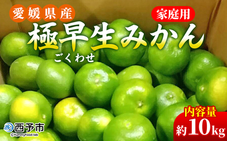 先行予約＜愛媛県産 極早生みかん 約10kg ご家庭用＞ 温州みかん 家庭用 訳あり 果物 ミカン 柑橘 フルーツ 選べる 食べて応援 特産品 段畑みかん 愛媛県 西予市【常温】『2026年9月中旬～10月中旬迄に順次出荷予定』 ADM0010