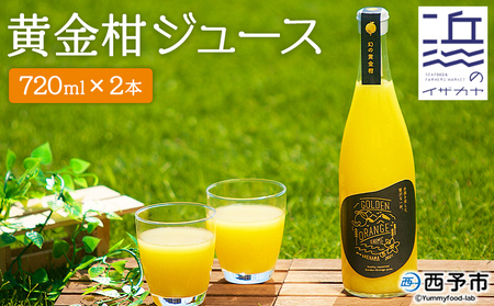＜黄金柑ジュース 720ｍ×2本セット＞ 果汁100％ ストレート ジュース おうごんかん 柑橘 ミカン 蜜柑 みかん オレンジ 果物 フルーツ 飲料 無添加 ギフト 贈り物 特産品 二ノ宮商事株式会社 愛媛県 西予市【常温】『2026年3月下旬から順次出荷予定』ANS0006