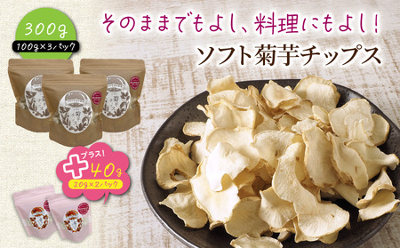 国東産 ソフト菊芋チップス 340g(100g×3袋・20g×2袋)_1935R