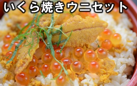 三陸のいくらと焼きウニセット（ いくら醤油漬け アワビの貝に盛った焼ウニ 80g セット)  