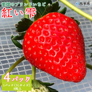 くまさん農園 愛媛のブランドいちご 完熟「紅い雫」（４パック） NFK0002