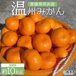 安樹屋 愛媛県明浜産 温州みかん（南柑20号） 10kg（家庭用） AYK0002