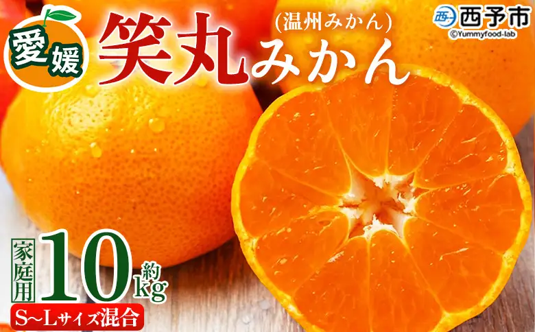 ＜愛媛県明浜産 笑丸みかん（温州みかん）約10kg S～L混合＞ 家庭用 訳あり ワケアリ 果物 くだもの フルーツ ミカン 柑橘 特産品 笑丸 愛媛県 西予市【常温】『2026年11月中旬～2027年1月上旬迄に順次出荷予定』AAN0022