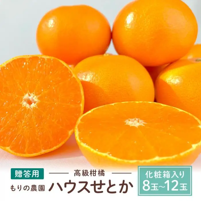 贈答用ハウスせとか化粧箱8玉～12玉｜瀬戸内産 せとか