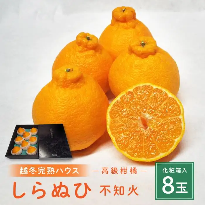 贈答用 越冬完熟ハウスしらぬひ 化粧箱8玉｜みかん 柑橘 しらぬい 不知火 しらぬい 尾道市