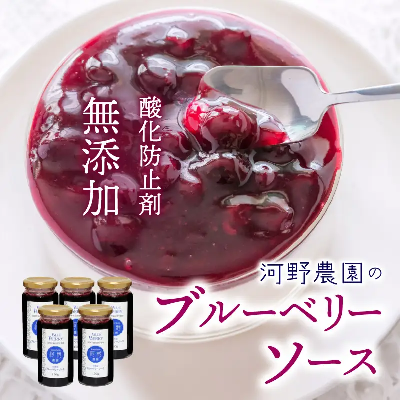 河野農園の酸化防止剤無添加ブルーベリーソース150g×5本_1450R