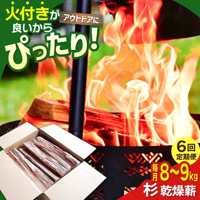 【6回定期便】佐賀県産 杉 乾燥 薪（8-9kg） / アウトドア [IBU004]