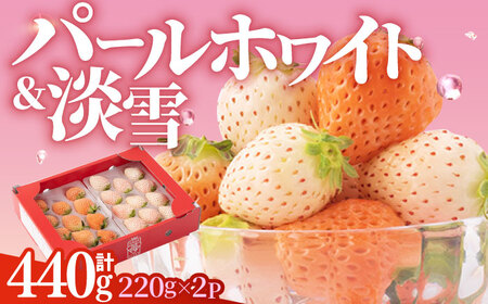 【先行予約 2027年1月～発送】白いちご「淡雪」＆「パールホワイト」食べ比べ セット 計440g / いちご [ICQ001]