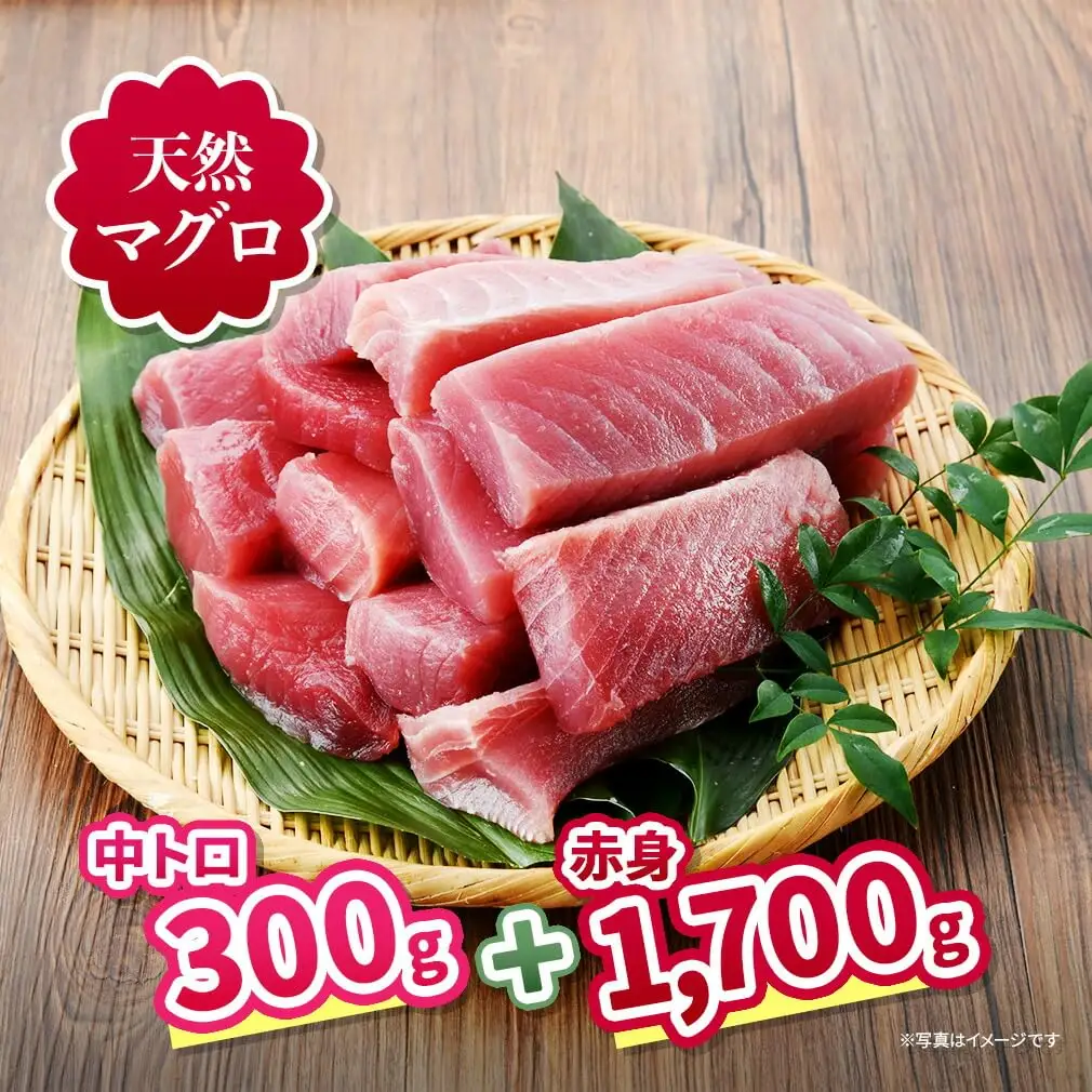 三崎 の 天然マグロ 三昧 ！ 中トロ ・赤身 がたっぷり入った王道コンビ 2kg セット！ M063-004 冷凍 マグロ