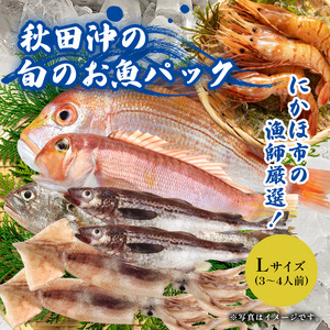 にかほ市の漁師厳選！秋田沖の旬のお魚パック！（Lサイズ・3～4人前） 魚介類 直送 新鮮 詰め合わせ 