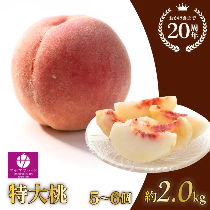 【2026年発送★先行予約】特大桃 5～6個入り 約2.0kg 山梨一宮産の桃 朝採り 産地直送  088-001
