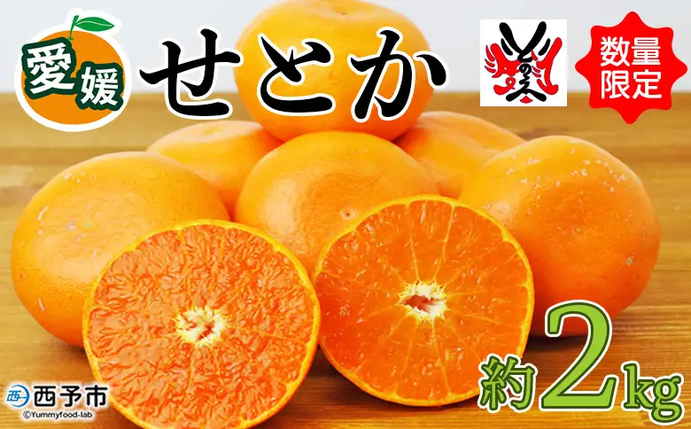 先行予約 数量限定＜愛媛西予市産 せとか 約2kg＞ 果物 くだもの フルーツ 柑橘類 ミカン みかん 甘い 特産品 糖度 家庭用 自宅用 産地直送 渡江から一歩を踏み出す会 食べて応援 愛媛県 西予市 【常温】『2026年3月上旬～4月中旬順次発送予定』ATI0019